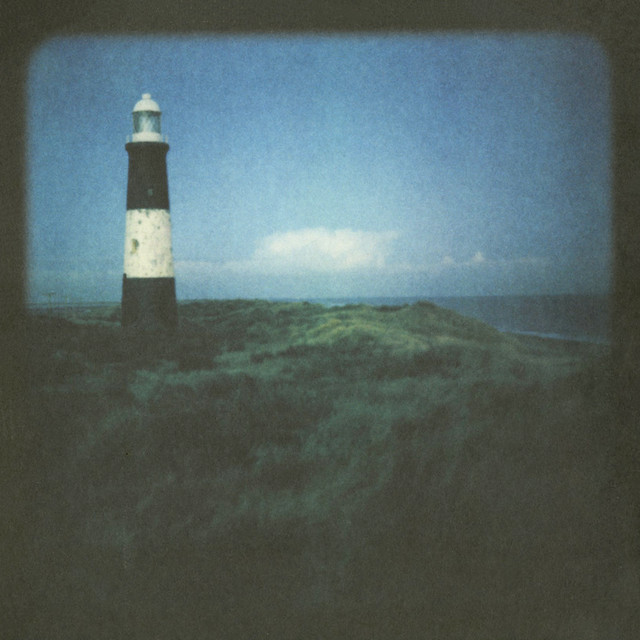 Blue Roses cover art