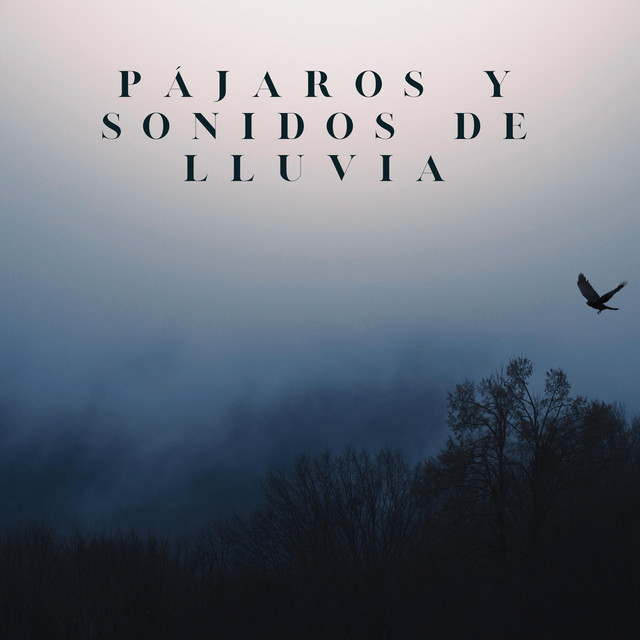 Pájaros Y Sonidos De Lluvia