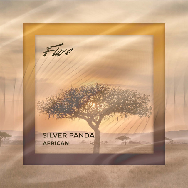 Cover of African by Silver Panda