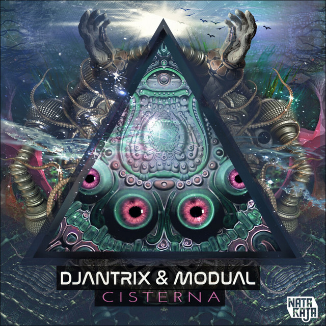 Cisterna cover