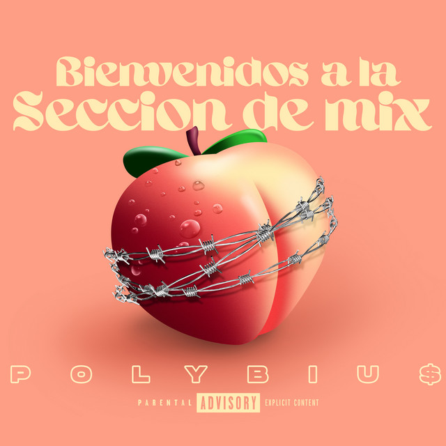 Bienvenidos a la Seccion de Mix cover art