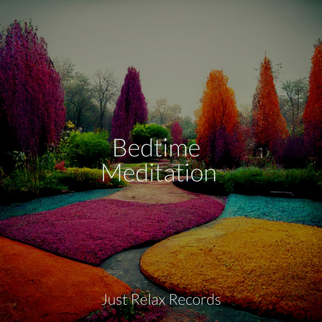 Bedtime Meditation - Album by Easy Sleep Music | Spotify
