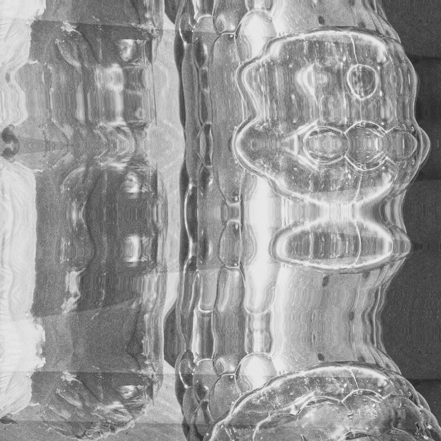 Semnul album art