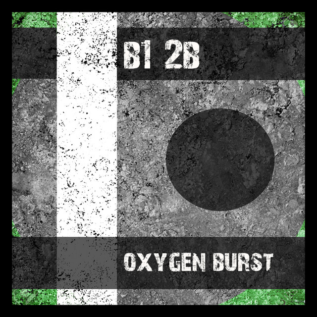 B1 2B