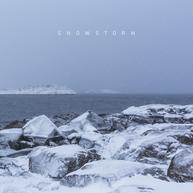 Snowstorm cover