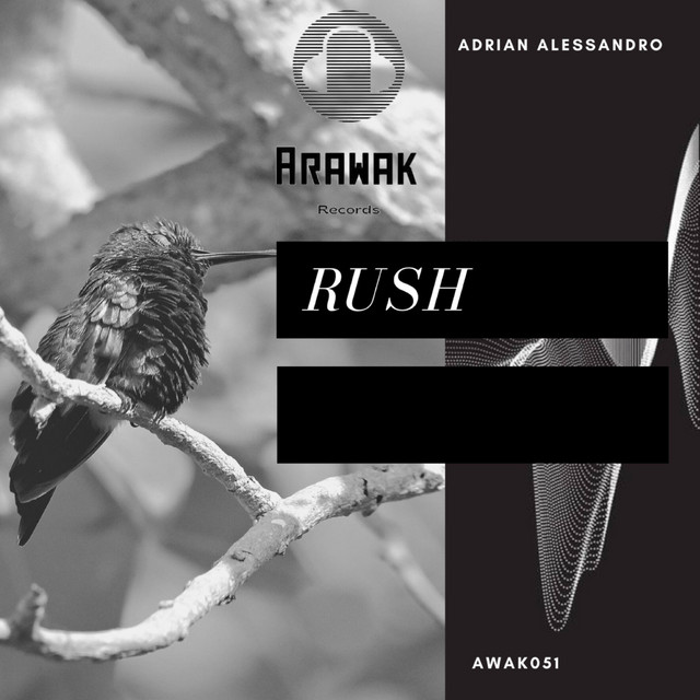 Rush - Single by Adrian Alessandro | Spotify
