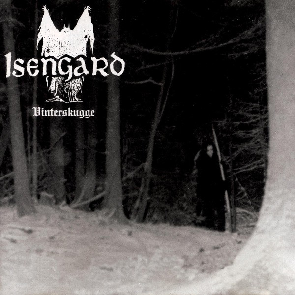 Vinterskugge cover art