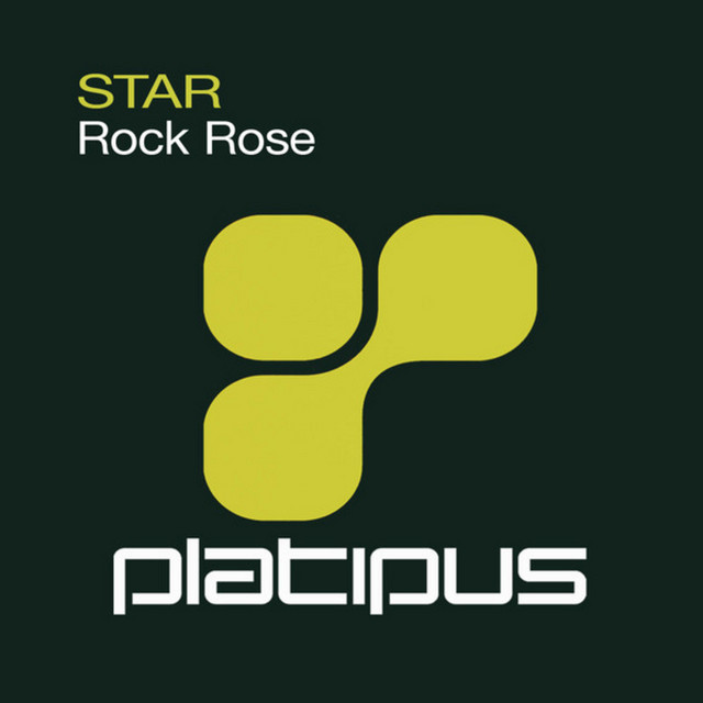 Rock Rose - Original Mix cover art
