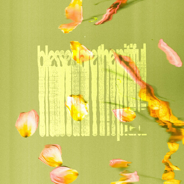 blessedarethepitiful cover art