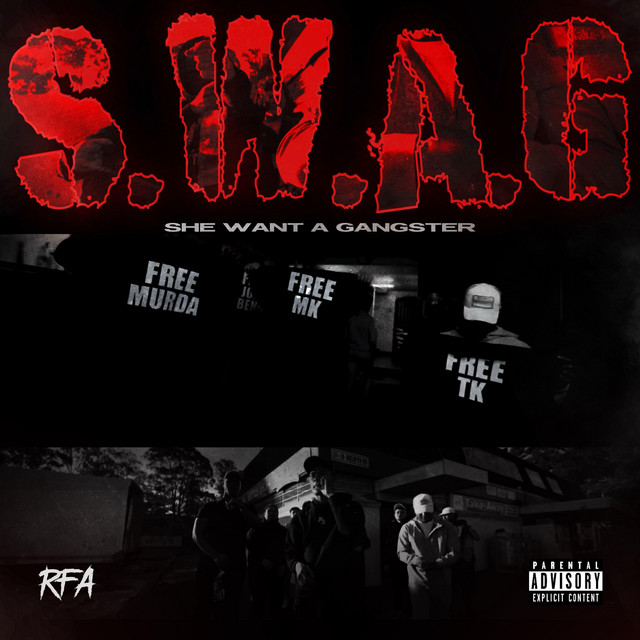 She Want A Gangster cover art