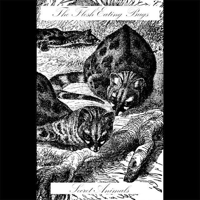 Secret Animals cover art