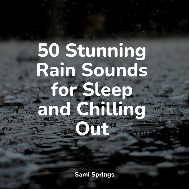 50 Stunning Rain Sounds for Sleep and Chilling Out - Album by ...