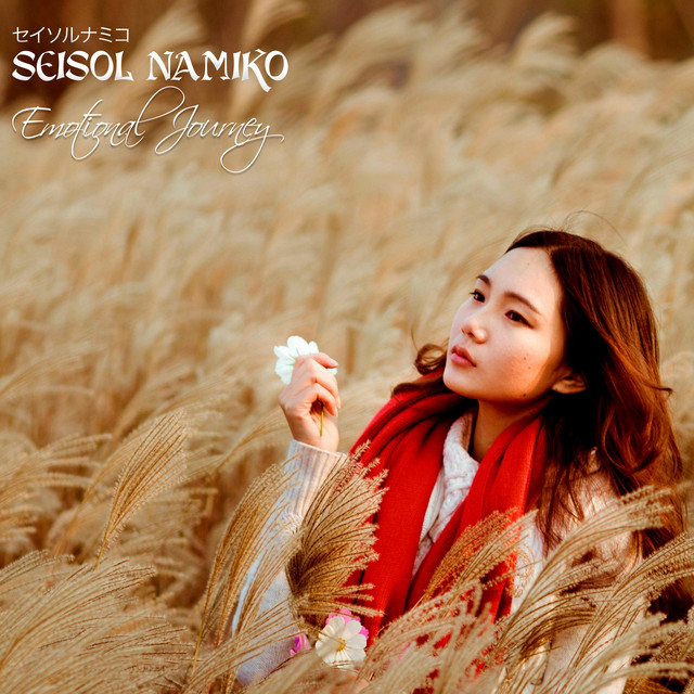 Emotional Journey cover art