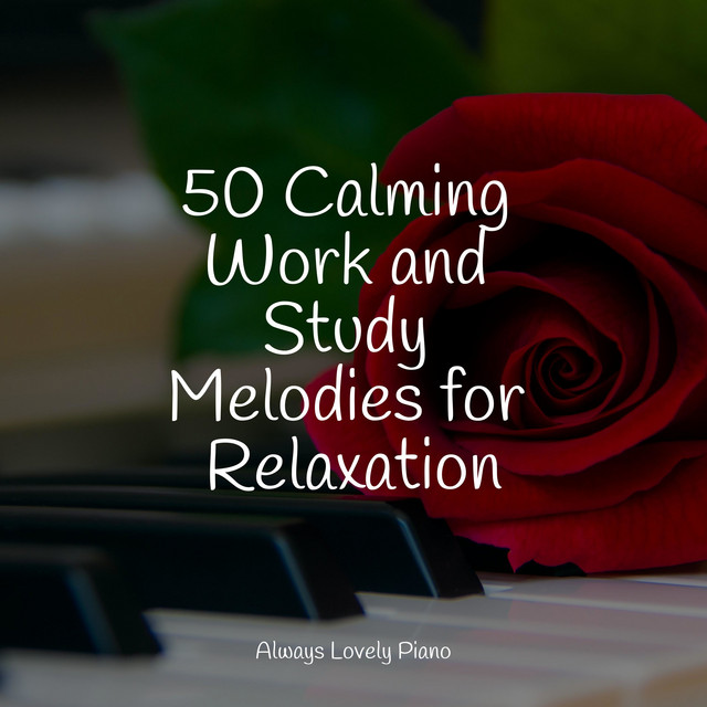 50 Calming Work and Study Melodies for Relaxation - Album by Piano ...