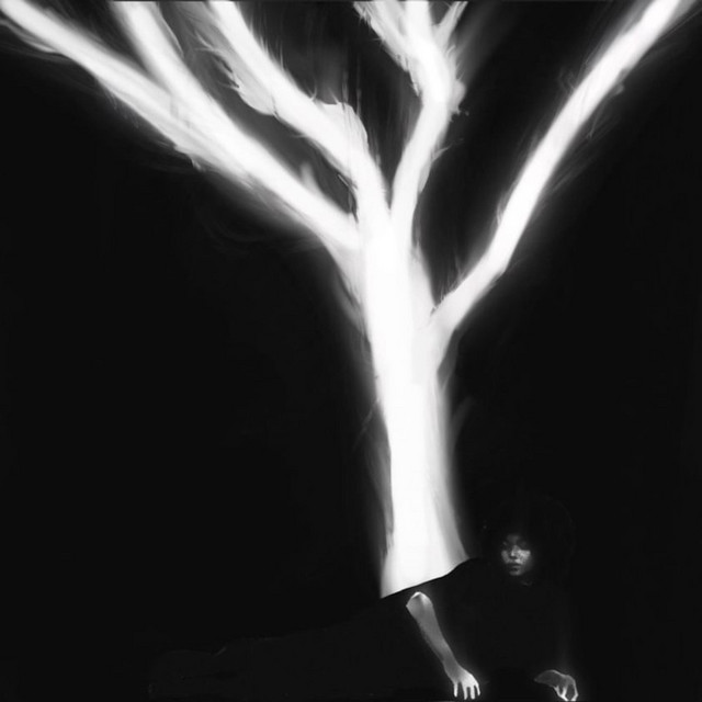 THE SOUND THAT TREES MAKE cover art