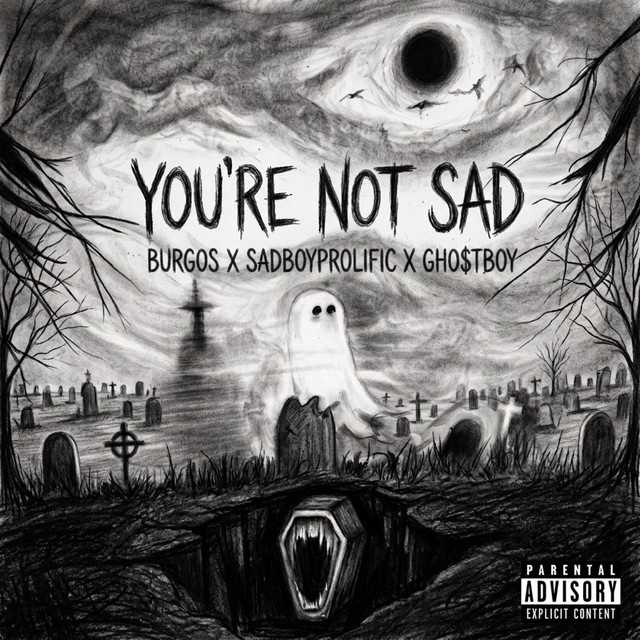YOU'RE NOT SAD album image