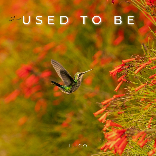 Used to Be cover