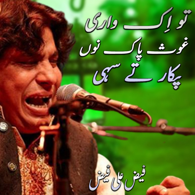 Tu Ik Wari Ghous Pak Peer Nu Pukar Te Sai album image