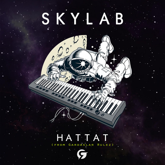 Skylab cover art