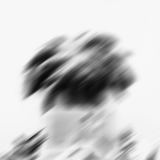 Froze cover art
