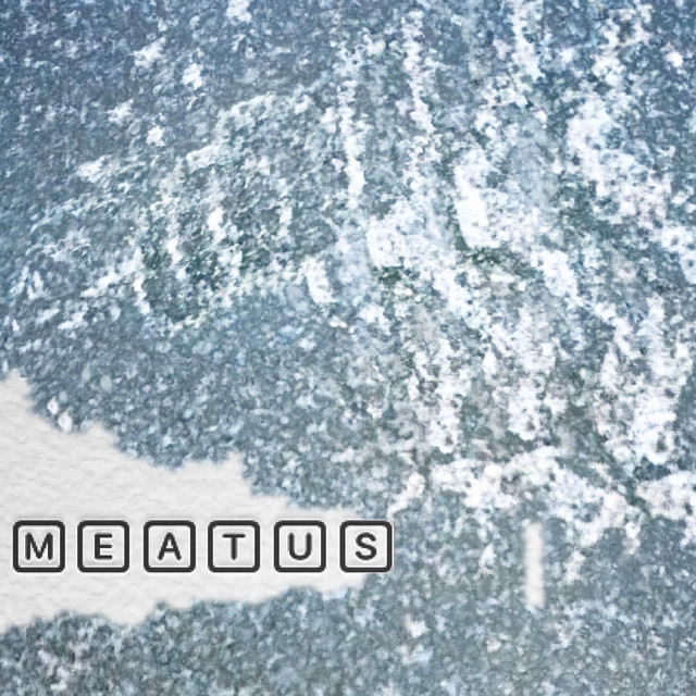 Meatus Photo