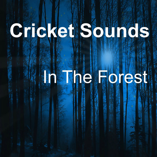 Crickets Tinnitus Relaxation | Spotify