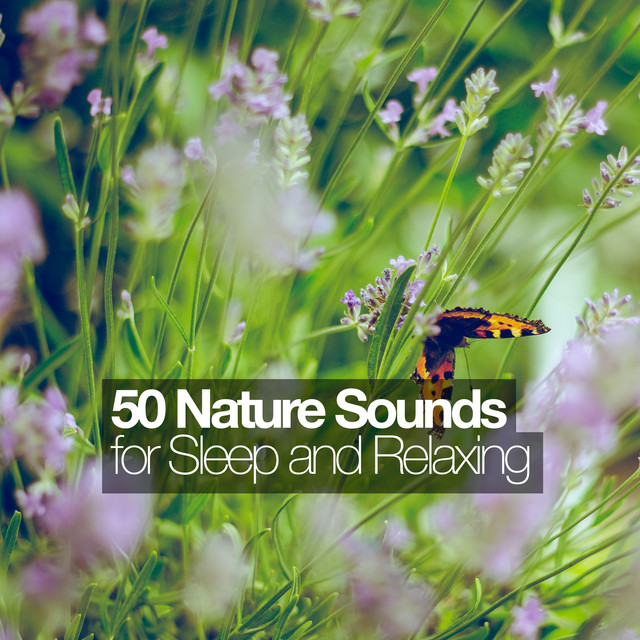 50 Nature Sounds for Sleep and Relaxing cover art