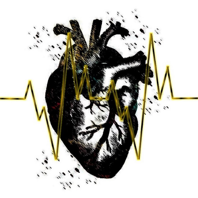 Tu Só Vives Uma Vez cover art