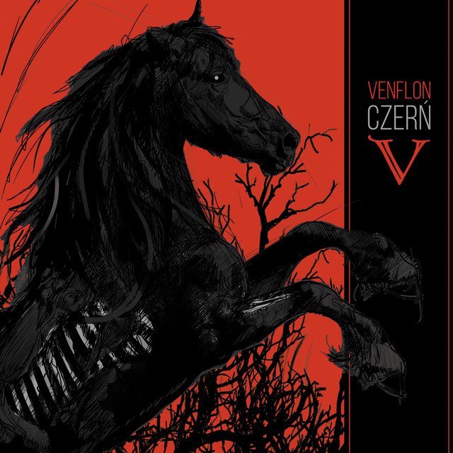 Czerń cover art