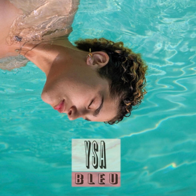 Bleu cover art