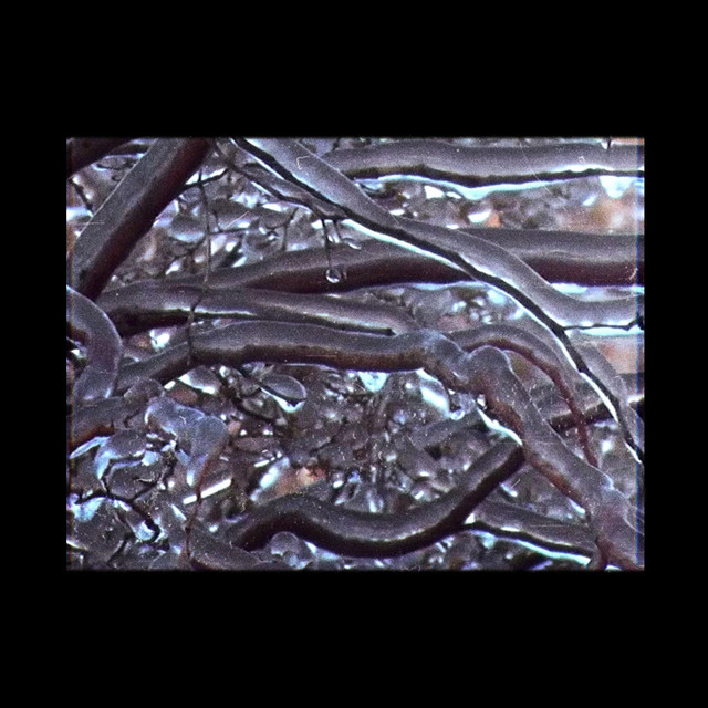 verglas (single)
