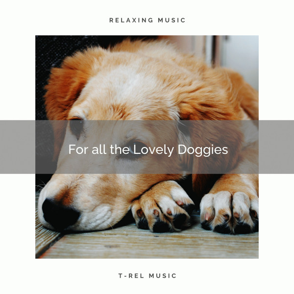 Calm Down Best Doggie and Recharge part 1 - song and lyrics by Calming ...