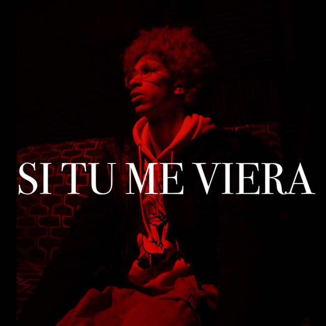 Si Tu Me Viera cover