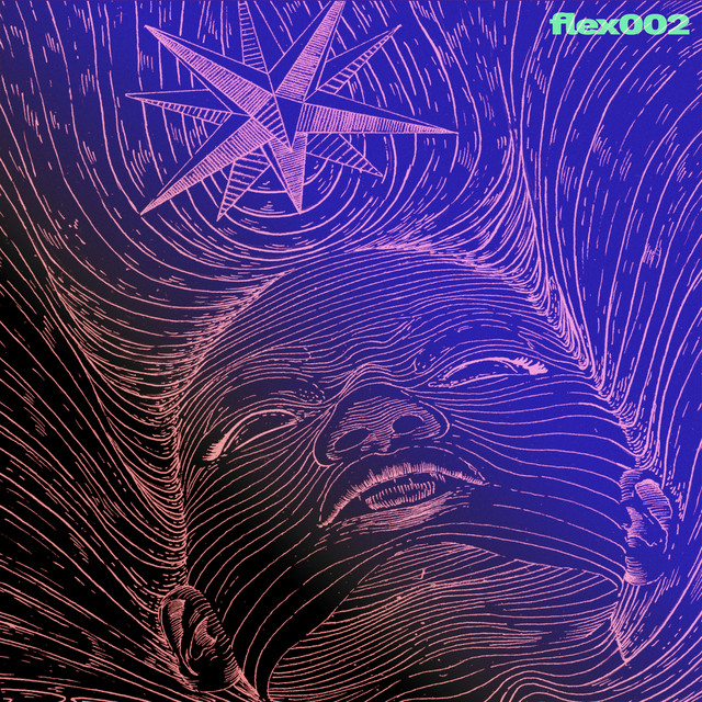 Flex002 cover art