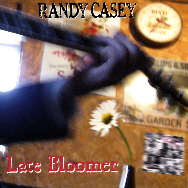 Late Bloomer cover