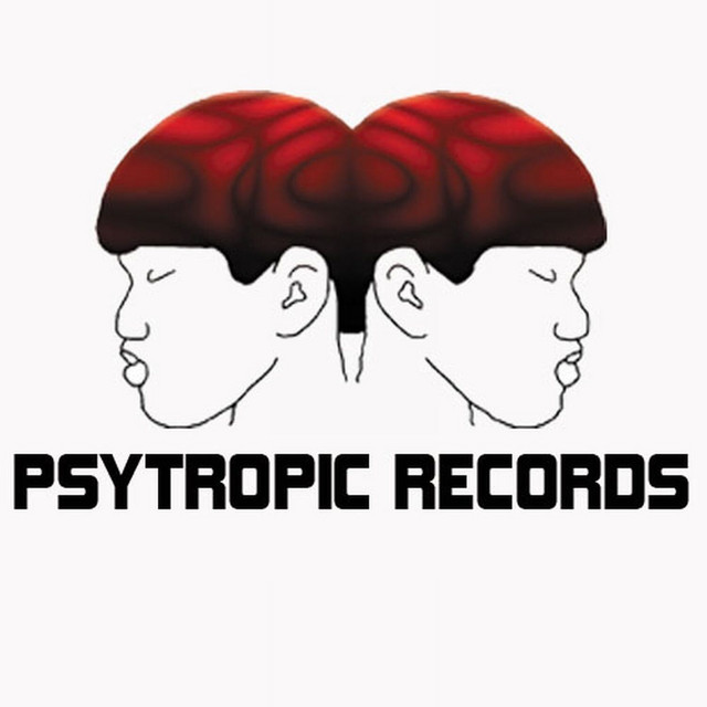 Catatonic cover art
