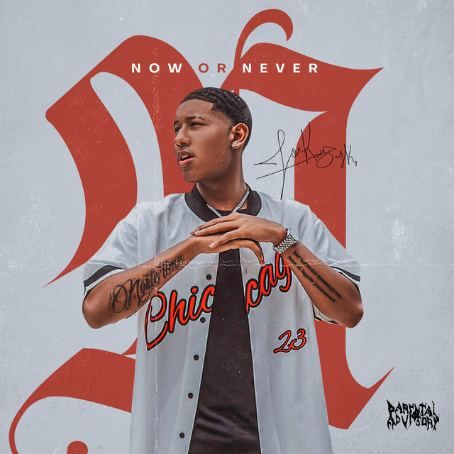 NOW OR NEVER cover art