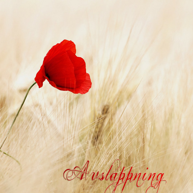 Avslappning cover art