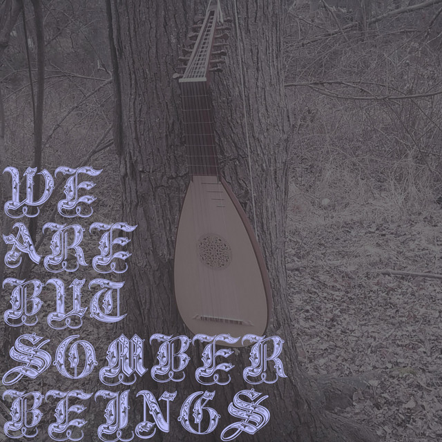 We Are but Somber Beings cover art