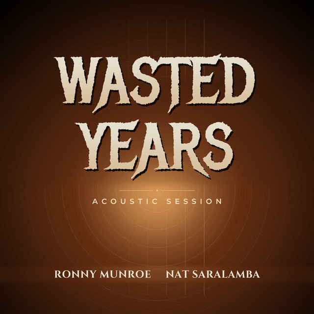 Wasted Years (Acoustic Session) cover