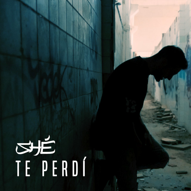 Te perdí