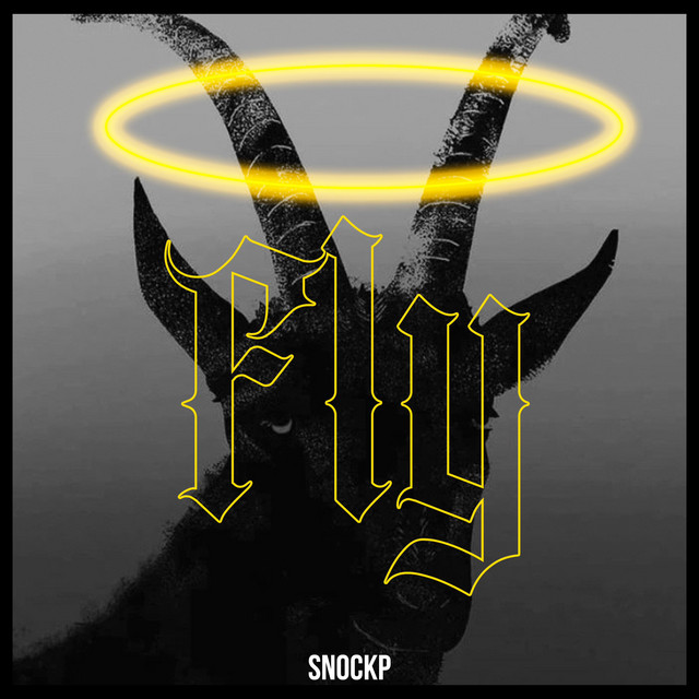 Fly cover art