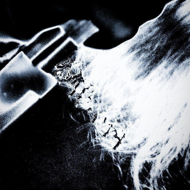 Lomvi Photo