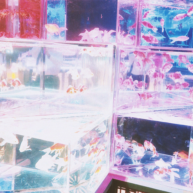end it cover art