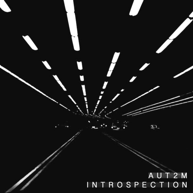 Introspection cover art