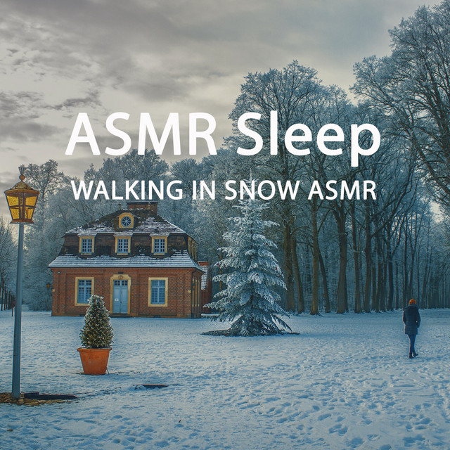 Asmr Sleep (Walking in the Snow ASMR) cover art