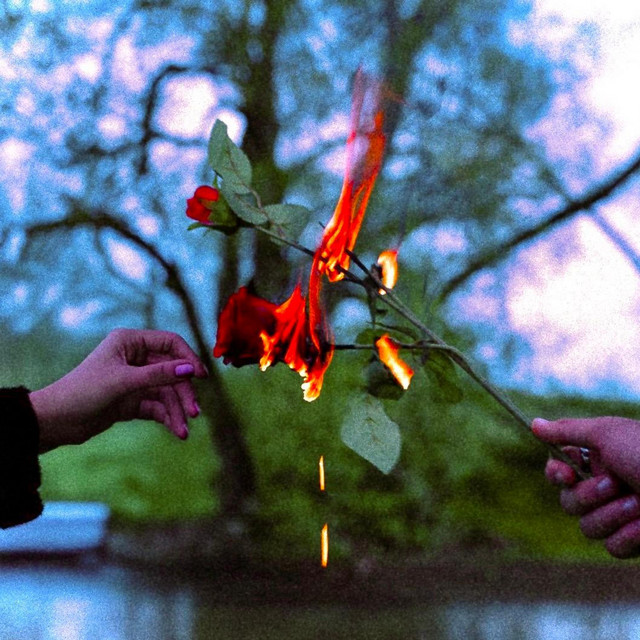 Phoenix cover art