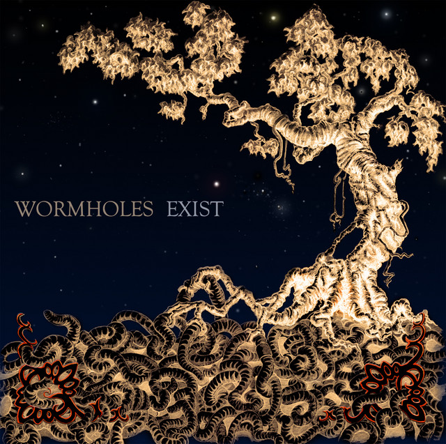 Wormholes Exist