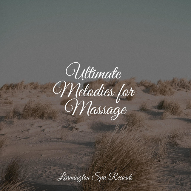 Ultimate Melodies for Massage - Album by Sounds Of Nature | Spotify