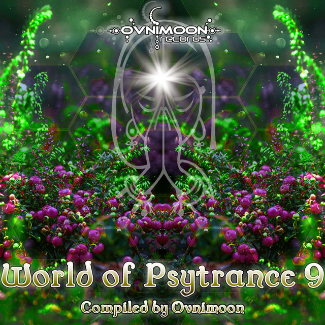 Multiverse cover art